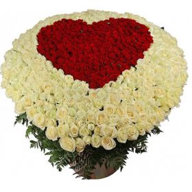 миллион роз